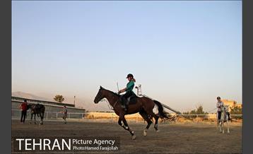 سوارکاری ورزشی برای کودکان‎ 4