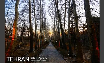 بوستان جمشیدیه 21