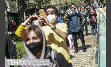 اجرای گروه موسیقی فانوس در باغ فردوس 11