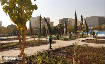 اینجا کارگاهه؛ منطقه شانزده 17