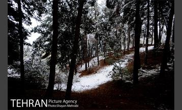 بارش برف پاییزی در بوستان طالقانی 24