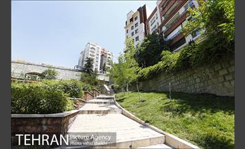 بوستان تندرستی 25