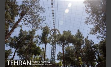 آخرین روزهای ساخت فاز2 باغ پرندگان 13