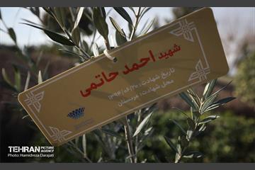 کاشت نهال به یاد شهدا در برج میلاد 14