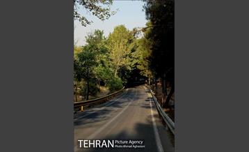 پارک جنگلی چیتگر 21