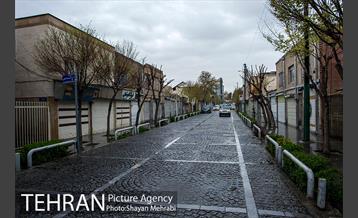 محله پامنار  20