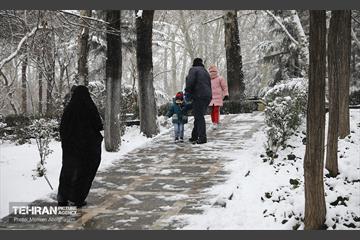 روز برفی تهران - 2 38