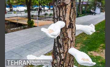 جشنواره بهارستان 16