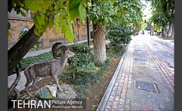 موزه حیات وحش هفت چنار 6