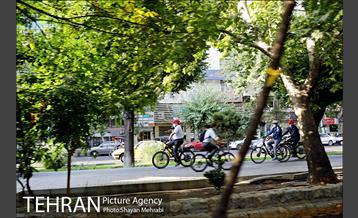 پویش سه شنبه های بدون خودرو 11