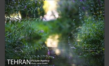 باغ گیاه شناسی ملی ایران  14