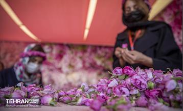 پایتخت میزبان جشنواره گل و گلاب 10