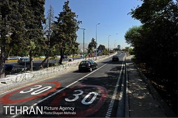 پل غیر همسطح بزرگراه شهید چمران (پل شهید نوروزی) 24