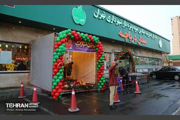 بازدید مدیرعامل سازمان تره‌وبار از میادین میوه 35