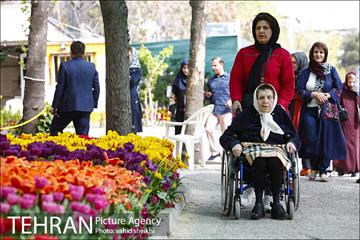 پیاده راه لاله برای مادران 28