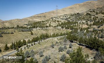 آیین غرس درخت در کوهسار  با حضور معاون فرهنگی قوه قضاییه 2