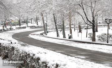 صبح برفی بوستان ملت 8