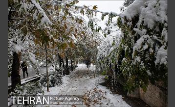 بارش اولین برف پاییزی در تهران 34