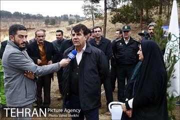 آغاز عملیات اجرایی نهضت درختکاری پردیس گردشگری 11
