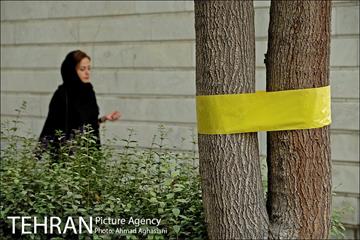 یوسف آباد، بی باغ و بی آسیاب 15