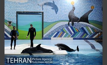 حضور خانواده هاى کارکنان شهردارى تهران در دلفیناریوم برج میلاد به همراه شهردار تهران 28