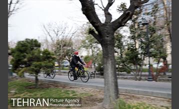 پویش سه شنبه های بدون خودرو 13