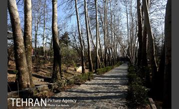 بوستان جمشیدیه (باغ سنگی جمشیدیه) 8