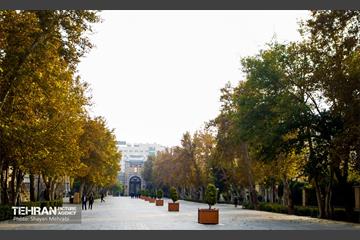 پاییز میدان مشق 12