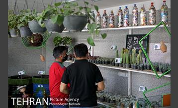 طرح گلماند در منطقه 18