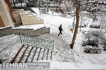 بارش برف زمستانی در تهران 12