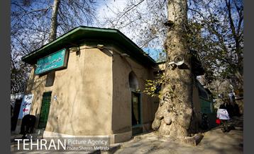 کوچه باغ های محله کن 23