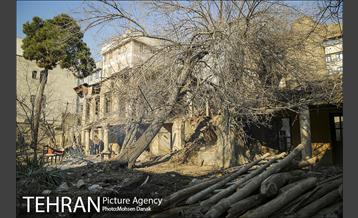 تاریخ رها شده؛ باغ کیهانی 18