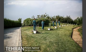 آئین درخت کاری به مناسبت تولد گاندی 11