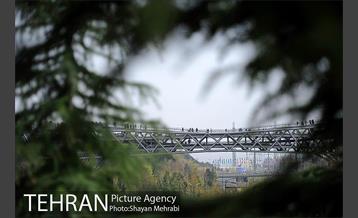 به مناسبت ده سالگی پل طبیعت 4