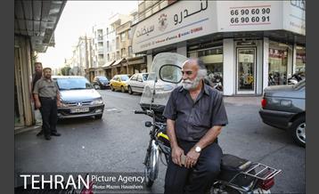 شهرنگار؛ سلسبیل 16