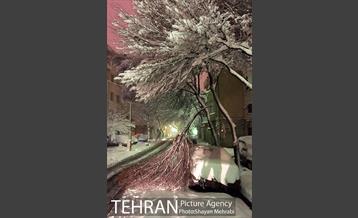 صبح برفی تهران 8