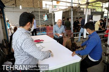 مراکز عرضه دام بهداشتی به مناسبت عید قربان 19