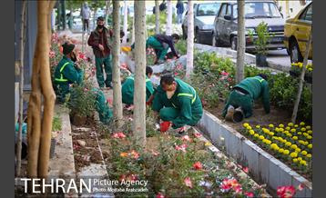 گلکاری در خیابان ولیعصر 19