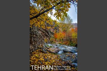 طبیعت پاییزی روستای سنگان 31