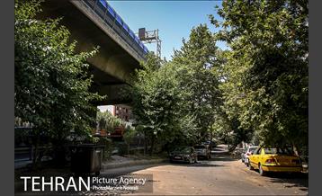 شهرنگار؛ محله قیطریه 12