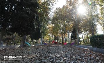 گذر پاییزی بوستان بعثت 19