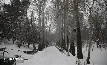 روز برفی تهران - 2 25