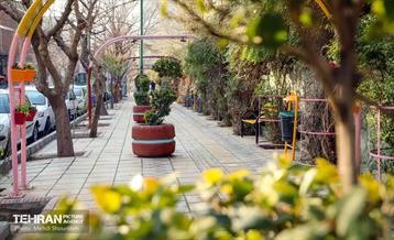 تهران زیبای من؛ منطقه 7