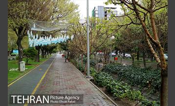 اکران هنرهای محیطی نوروزی در بلوارکشاورز 11