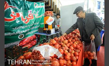 افتتاح نهمین نمایشگاه محصولات ارگانیک 22