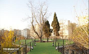 هشتادوششمین رویداد امیدوافتخار 36