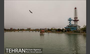 روز طبیعت بارانی در بوستان رازی 7