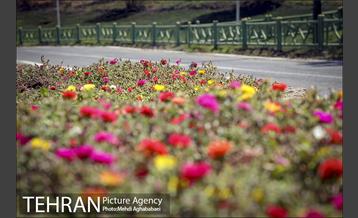 بوستان سرخه حصار 3