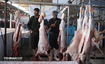 بازدید از مرکز عرضه بهداشتی دام ویژه عید قربان 34