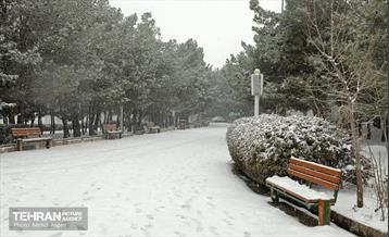 بارش برف زمستانی در منطقه ۲ 13